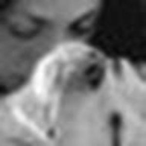 Meet your Posher, Lea